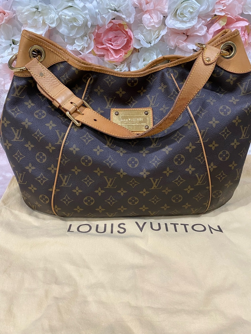 Louis Vuitton Monogram Galliera GM